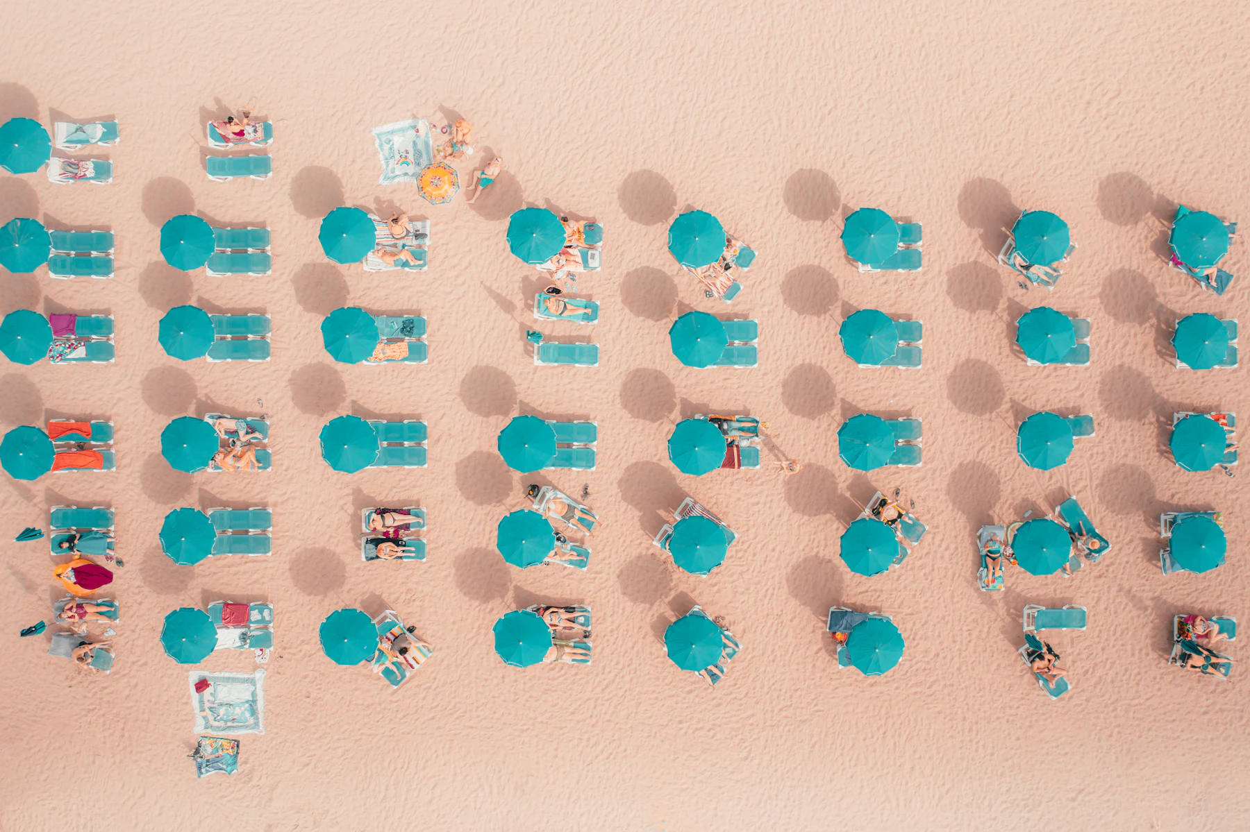 File di ombrelloni su una spiaggia, viste dall'alto